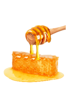 Pure Jarrah Honey